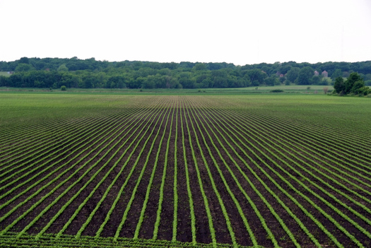 PHOTO: With a majority of farmland in Iowa now being farmed by someone who doesn't own the land, efforts are under way to better connect the farmer tenants and landowners on conservation practices that can help with water quality and soil health. Photo credit: Carl Wycoff/Flickr.