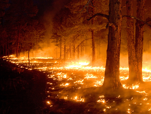 PHOTO: Huge wildfires in New Mexico and elsewhere will be treated as natural disasters if Congress approves proposed legislation currently under consideration. Photo credit: U.S. Department of Agriculture.