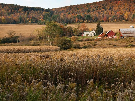 PHOTO: A new report bolsters New York towns such as Dryden that won the right to zone out fracking because of health and safety concerns. Photo credit: Chris Jordan-Bloch Earthjustice.