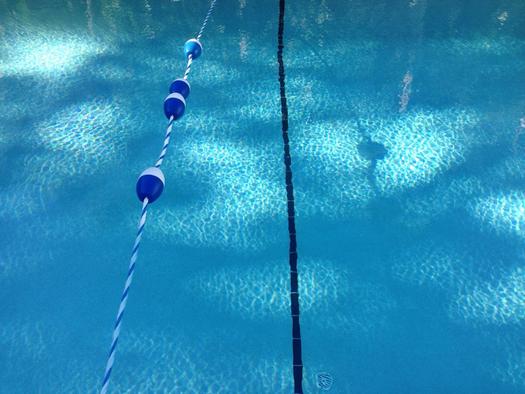 PHOTO: Swimming is synonymous with summer fun and, with pools opening up in Indiana this week, health officials say its important to understand basic swimming safety. Photo credit: Emily Beeson/morguefile.