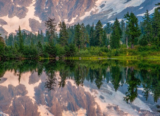 PHOTO: Behind the beautiful scenery, there's a lot of hard work going on in terms of public land management. A new summary of Northwest Forest Plan results, in place since the 1990s, cites progress in habitat restoration and water quality. Photo credit: Mason Cummings.