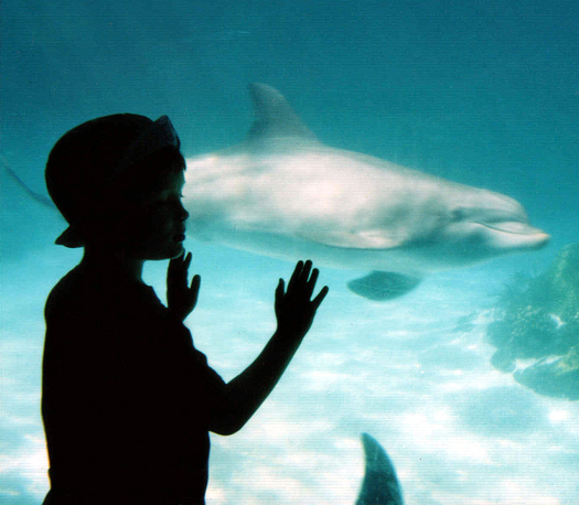 Photo: More than 14,000 children in North Carolina are diagnosed with autism. A bill before the State Assembly would require insurers pay for a limited amount of treatment. Photo credit: tangle eye/morguefile.com