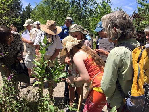 Forty volunteers trained last weekend to become citizen scientists for monarch butterflies.  Credit: Deborah C. Smith.