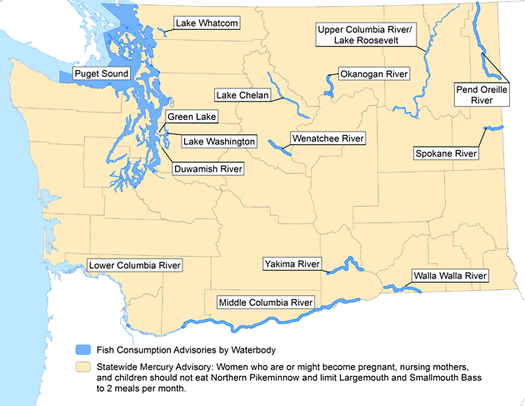 GRAPHIC: The tan area of this map of Washington indicates a statewide mercury advisory for fish consumption for children and women of childbearing age. Mercury is one of the pollutants the EPA is trying to regulate, but the U.S. Supreme Court says the agency must consider the impact of costs to industry. Map courtesy Washington State Dept. of Health.