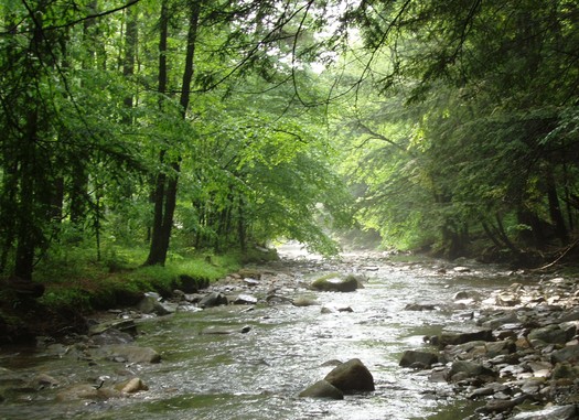 A federal court has cleared the way for what conservationists say needs to happen to clean up Pennsylvania tributaries of Chesapeake Bay - including reducing polluted farm runoff. Photo courtesy Chesapeake Bay Foundation.