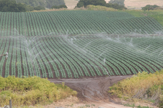 Farming is taking too much aquifer water, according to new research. Photo courtesy of USDA.gov