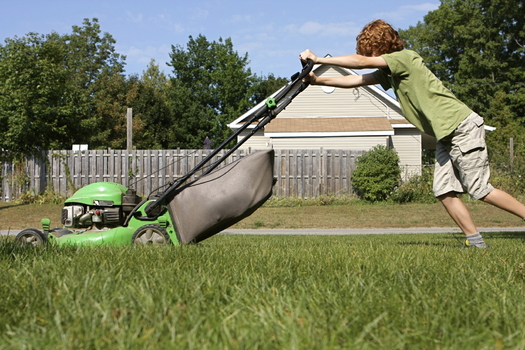 Doctors says lawn-mower-related injuries to children are completely preventable with proper safety measures and common sense. Credit: Linda Kloosterhof.