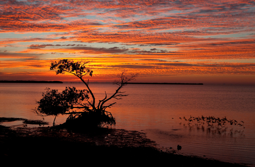 Conservation groups applaud a new congressional deal to continue funding sites such as Everglades National Park. Credit: David Parsons/iStock