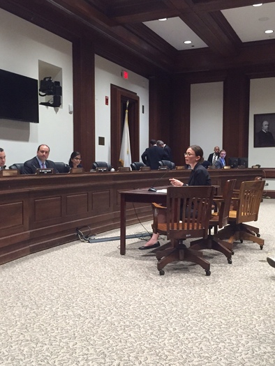 Alyssa Vangeli testifies in Boston on Tuesday for a measure that would protect patient confidentiality when accessing sensitive health services. Courtesy Health Care For All.