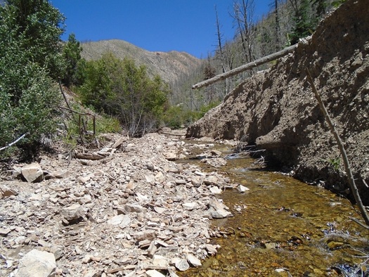 Popular North Creek fishery in Southern Utah being restored. Courtesy: Utah Division of Wildlife Resources