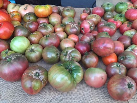 Three farmers markets in Baltimore have partnered with the Summer Food Service Program to dish up healthy food and nutrition education for children. Credit: Deborah C. Smith.