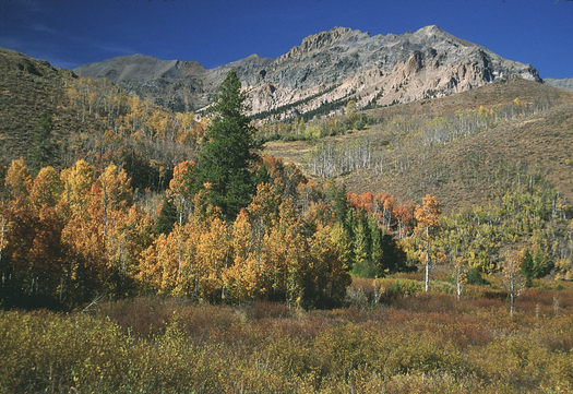The U.S. Senate approved the Boulder-White Clouds wilderness bill (H.R. 1138/S. 583) on Tuesday. Credit: U.S. Forest Service.