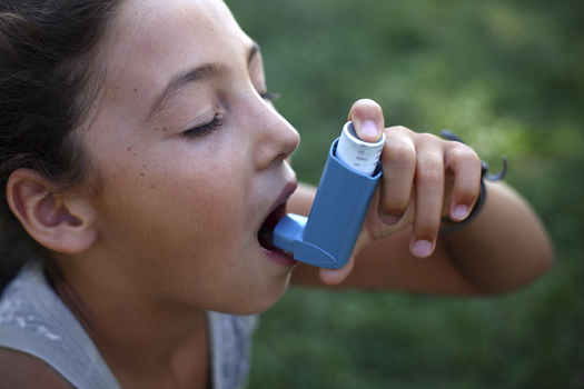 New research finds that North Dakota schools are not making the grade when it comes to providing a healthy and safe learning environment for kids with asthma or allergies. Credit: AskinTulayOver.