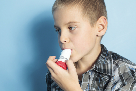 New research shows schools in the state are falling short of the honor roll when it comes to protecting children with asthma or allergies. Credit: Louis-Paul St-Onge.