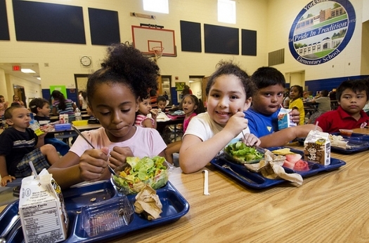The Hunger Free Summer for Kids Act, introduced in the U.S. Senate, would help expand the Summer Food Service Program so more low-income children can get the food they need. Credit: USDA/Flickr