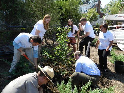 Chesapeake Bay Conservation Corps members planting trees. The corps class of 2016 is being announced today. Photo courtesy: Chesapeake Bay Trust.