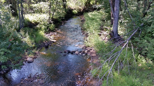 A new National Wildlife Federation report says climate change is stressing the nation's waterways and causing hot spots in Granite State rivers, brooks and streams that are too warm for fish such as eastern brook trout to survive. Photo credit: Eric Orff