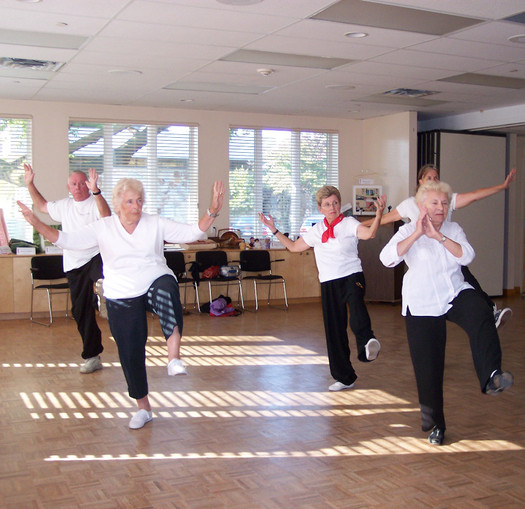 Tai chi is one recommendation for older people to improve strength and balance and reduce their risk of taking a serious fall. Credit: taichiexercises.org