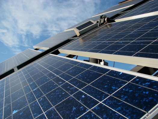 A Vermont-based solar energy company is seeing resistance from residents in Oneida, New York, over a proposed solar farm project. Credit: Patrick Moore/freeimages.com