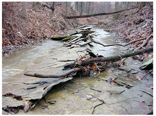 Underground mining can drain water from streams and wells. Credit: Center for Coalfield Justice