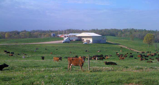 Opponents say the DARK Act could undermine businesses such as Snowville Creamery in Ohio that sell non-GMO products. Courtesy of Snowville Creamery