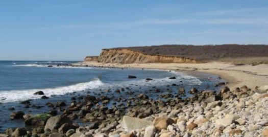 Conservation Fund grants benefit NY forests, beaches and the NYC watershed. Courtesy: The Nature Conservancy