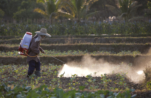 The EPA is updating standards to protect the nation's farmworkers from pesticide poisoning. Credit: Enviromantic/iStockphoto.