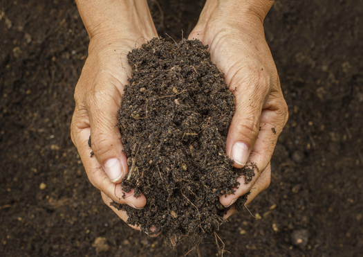 Skip the fertilizer. The addition of compost to your soil in the fall will help your lawn be healthy and green next year. Credit: bluedogroom