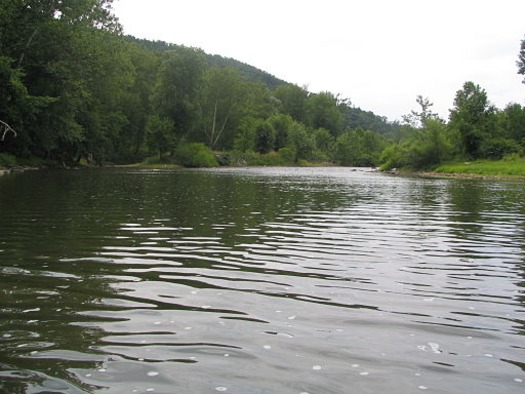 The grant will target 106 miles of polluted waterways in the Juniata River Basin. Credit: Cngodles/en.wikipedia