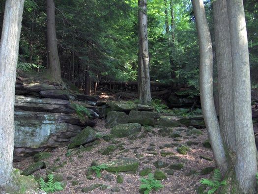 The Land and Conservation Fund helps protect the Cuyahoga Valley National Park. Credit: Taximes/Wikimedia