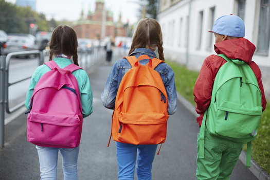 Walking to school or other regular physical activity by children can help improve their health and academic performance. Credit: shironosov