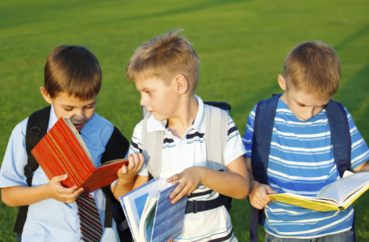 Walking to school or other regular physical activity by children can help improve their health and academic performance. Credit: anatols