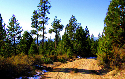 Land and Water Conservation Fund dollars were part of creating the Gilchrist State Forest north of Klamath Falls. Credit: Oregon Department of Forestry/Flickr