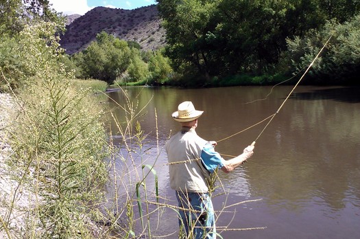 Conservationists are working to block a plan to divert water from the Gila River in New Mexico.Credit: Allyson Siwik, Gila Conservation Coalition