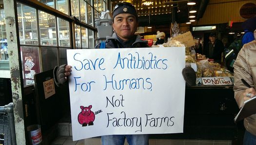 Public-health advocates have a message for Sen. Michael Bennet, D-Colo.: It's time to stop pumping antibiotics into factory-farmed animals. Credit: Food and Water Watch