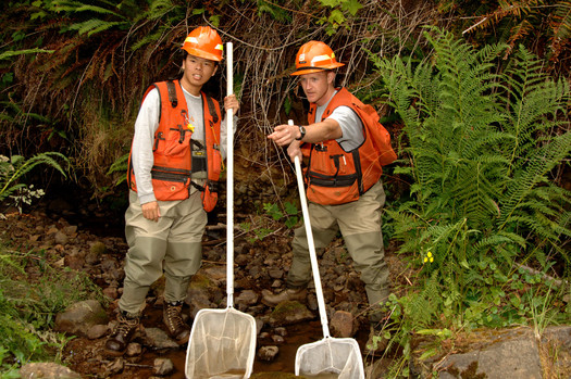 Fisheries biologists are just some of the positions to be filled by the U.S. Forest Service in Oregon and Washington. Courtesy: USFS Pacific Northwest Region