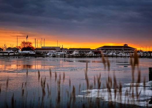 Oyster reefs in the Chesapeake Bay may be threatened by climate change. Credit: Krystle Chick/Chesapeake Bay Foundation