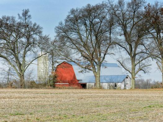 Indiana farmers are doing their part to help keep people from going hungry during the holidays. Credit: pippalou/morguefile