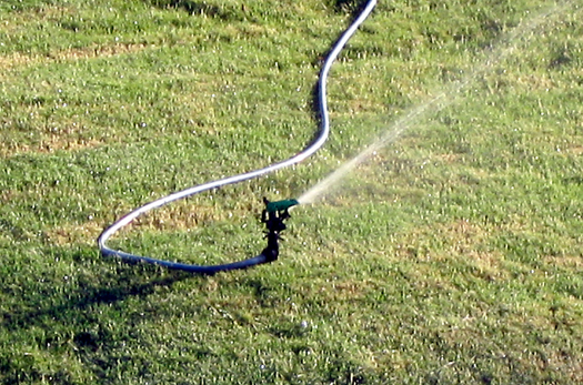 The Don't Be A Drip campaign says excessive lawn watering is just one reason it lists Arizona as the country's biggest Water Hog. (Alvimann/morguefile)