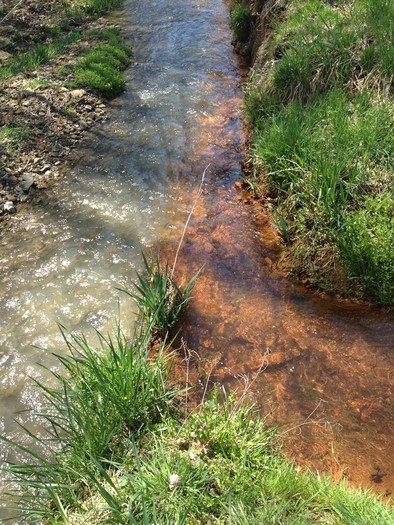 Conservation groups in Kentucky say a settlement with a coal company over water pollution sends a strong message about the need for enforcement. Credit Alex DeShay/Sierra Club