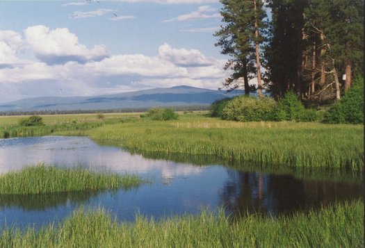 Klamath Basin water users are concerned that the region's overarching water-rights agreement will die in Congress this month. (waterwatch.org)