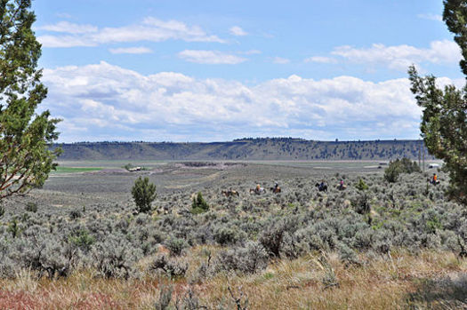 Most of the natural gas leases in Oregon are in Malheur County, part of the Vale BLM District. (Tara Martinak/BLM/Wikimedia Commons)