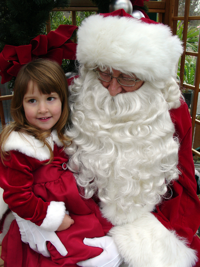 The U.S. Postal Service receives and helps answer millions of letters to Santa each year. (kakisky/morguefile.com)