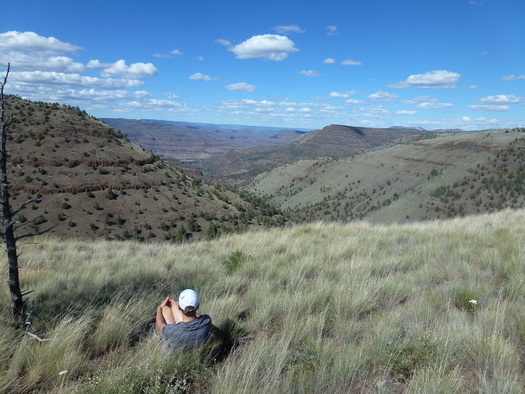 Most people who have seen Oregon's Painted Hills in Wheeler County have traversed some part of the surrounding land that's now up for wilderness protection in Congress. (Bob DenOuden)