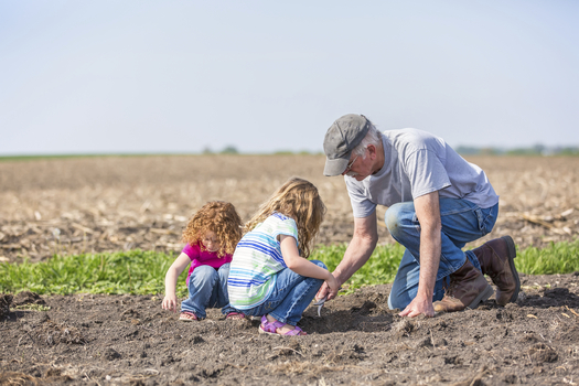 Conservation-minded farmers will be testing new software this month to help weigh the benefits of switching to cover crops. (iStockphoto)