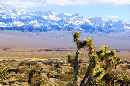 A new poll shows Nevadan are extremely concerned about drought, and place great value on federal public land such as the Tule Springs Fossil Beds National Monument. (Alan ONeill/Outside Las Vegas Foundation)