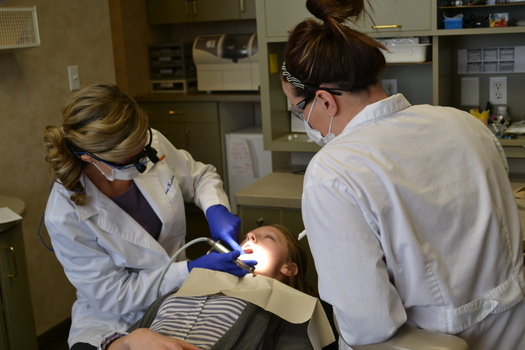 Minnesota dentists are offering free dental care for lower-income or uninsured children the first weekend in February. (Minnesota Dental Association)