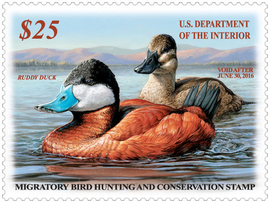 The National Wildlife Federation is urging Americans to buy a Federal Duck Stamp to show solidarity with National Wildlife Refuges.