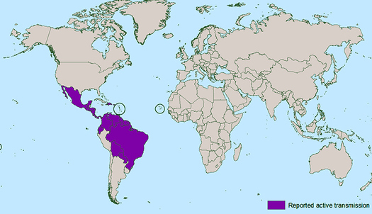 The Zika virus is prevalent in the areas seen in purple, mostly in the Caribbean basin, Central and South America, and southern Mexico. (CDC)