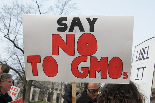 Advocates say 90 percent of Americans want mandatory GMO labeling. (Alexis Baden-Mayer/flickr.com)